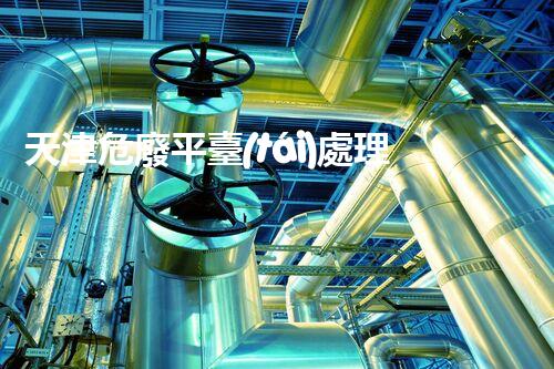 天津危廢平臺(tái)處理流程2023年最新危險(xiǎn)廢棄物處理的專業(yè)之道？